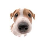 cobwebtakeo's Avatar