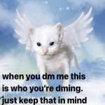 t0t4lly_hum4n's Avatar