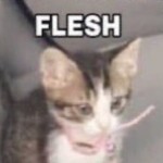 PseudoBones's Avatar