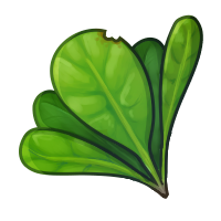 (M) Mangrove Leaves