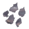 Lint Tears
