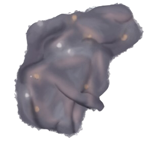 Unknown Creature