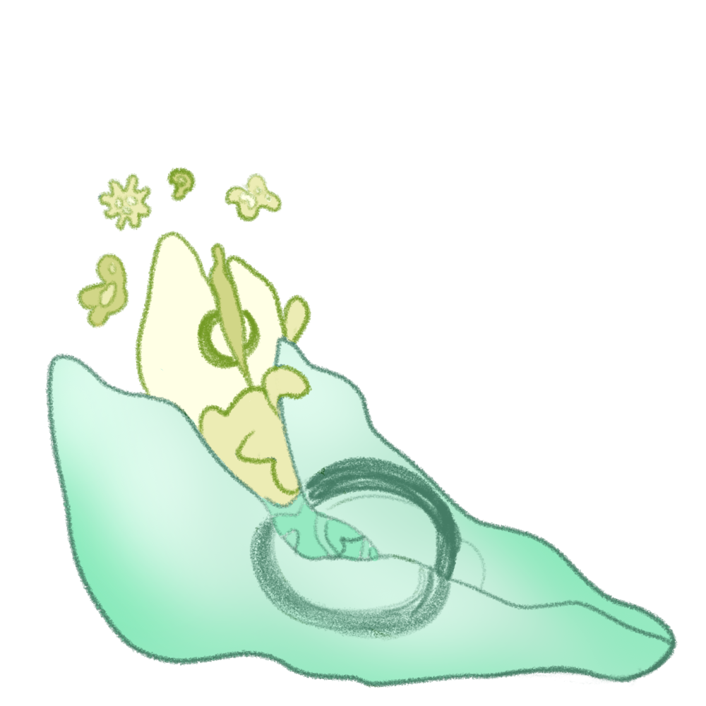 Budling Incubation